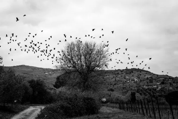 Random 01032026